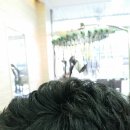 김근혜미용실