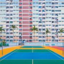 홍콩별밤 이미지