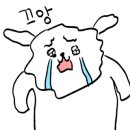 백프로김밥 이미지