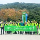 자연.이미지 이미지