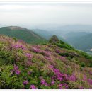 12/11[일]광주 무등산 서석대 눈꽃(명산100& 국립공원스탬프 ) - 산행안내/좌석표 이미지