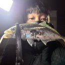 한국타이어 | 바다루어낚시 밝은 달밤 한국타이어 전갱이 포인트 후기