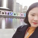 센트퍼밋 - 부산진구 대학로46번길 2 | 토론토 본격적인 생활 (Day3) - 토론토 도서관, YMCA 방문