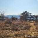 우보공인중개사사무소 이미지