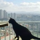 해리스힐 이미지