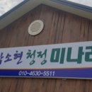 박소현미나리 이미지