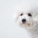 토평동물병원 이미지