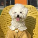 Time To Grooming(타임 투 그루밍) 이미지