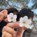 핑핑 놀아핑🐌, 25년 4월 일상모음💌