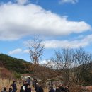 장수산림조합 앞 이미지