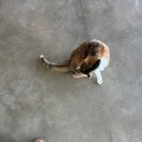 완도 밤야식 이미지