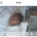 맘편한산부인과의원 | 안산 맘편한 산부인과 후기