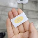 글로벌인플루언서엑스포 GIE 기획단 후기, 일산 킨텍스 전시장 행사