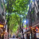 젠젠 보정동카페거리점 이미지