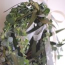 민들레산업 이미지