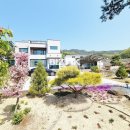봄날공인중개사사무소 이미지