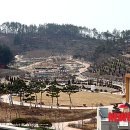 금낭화타운 이미지