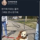 강생이네 이미지