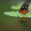 개성시대 이미지