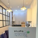 베베숲스튜디오 | 안양돌사진 어디서 찍지? 베베숲 스튜디오 아기사진, 성장앨범