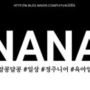 진이찬방원동점 이미지