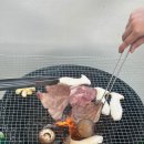 구룡스테이 이미지