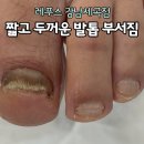 레푸스강남세곡점 이미지