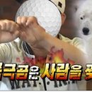 장타왕스크린골프