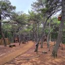 삼성현역사문화공원 이미지