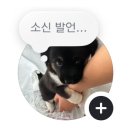 월간드림콘서트 | 1월 월간 박준서