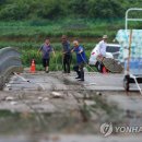 천도리양지마을 이미지