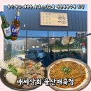 막내상회 | 울산 북구 매곡동 술집 스지수육 매운볶음우동 맛집 : 배씨상회 울산매곡점