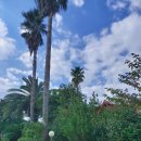 물댄동산 통나무펜션 이미지