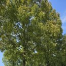 나주방부의원 이미지