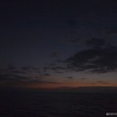 Groom Broom 이미지