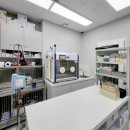 동물병원 이음 이미지