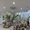 대전 팔레드 오페라, (구) 오페라 웨딩홀 리뉴얼 하객 방문 후기