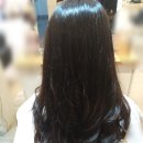 찰랑헤어 네이버블로그