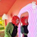 충북 단양 가볼만한곳 단양투어패스 볼거리 먹거리 카페투어 여행코스