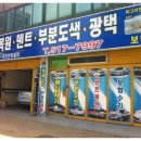 대성덴트칼라 이미지