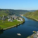 모젤(moselle)