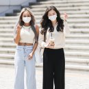 다솜연예기획 이미지