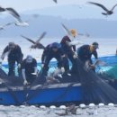 서해농장 이미지