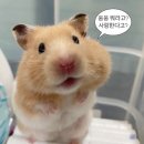 동아카써비스 | [결혼 준비_EP6 수원 더 마레보 호텔 후기(할인정보+견적공유 O)]