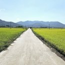 서해랑길 43코스 이미지