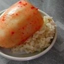 시골닭발 Daum카페