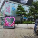 진성체육관 이미지