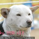 미적공감 Daum카페