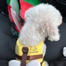 봉덕계곡 이미지