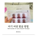 제주도청 | 아기 여권 발급 방법｜제주도청 방문 후기 정리 (미성년자 여권 발급)